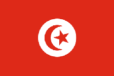 突尼斯签证签证